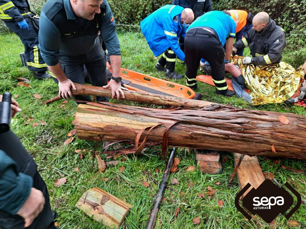 El Tapin - Un hombre ha resultado herido tras caerle un árbol encima, en Muncó